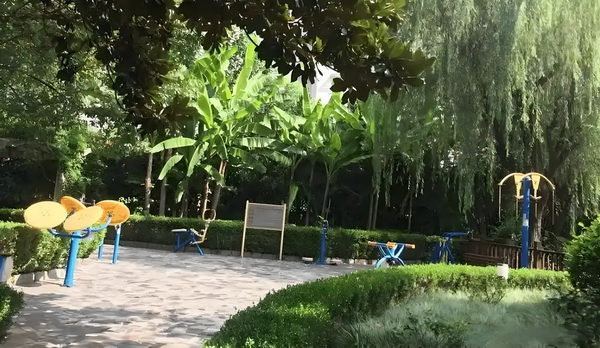 大专学历入户深圳可以加多少分_这版超人如何应对特朗普的时代 祝福人终成眷有情属