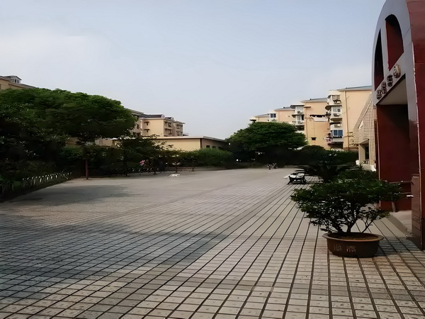 迁深户怎么办理_《扫毒风暴》大结局王奇令人失望！林强峰的牺牲，与她有隐秘关联 结局王奇令频道整个而是负责